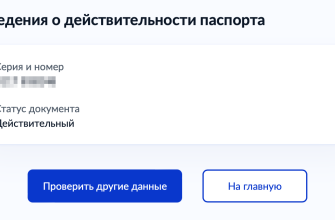 паспорт