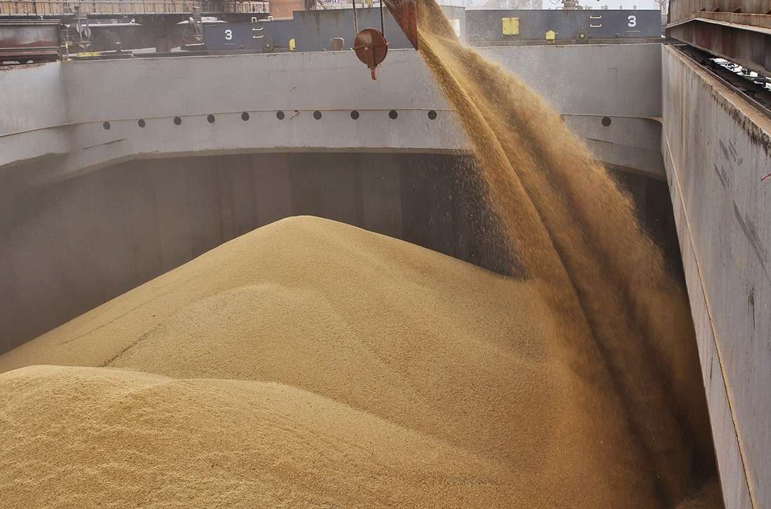 Более 240 тысяч тонн зерна и продуктов его переработки отгружено с территории Ростовской области