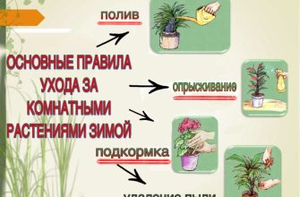 уход за растениями