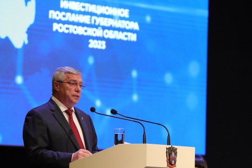 Губернатор Ростовской области: «Год показал – мы стали сплоченнее и сильнее»