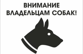 штрафы