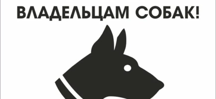 штрафы