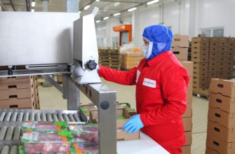 производство утки