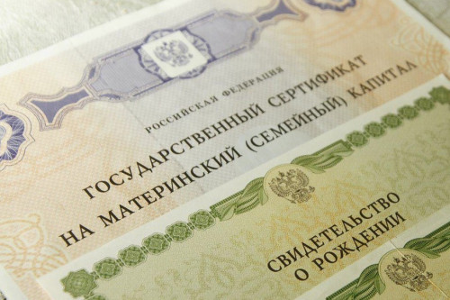 В Ростовской области ежемесячную выплату из средств маткапитала получают родители 5,5 тысячи детей