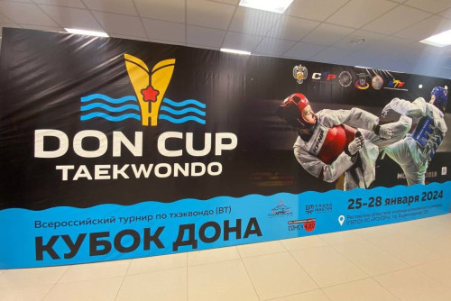 Всероссийский турнир по тхэквондо проходит на Дону