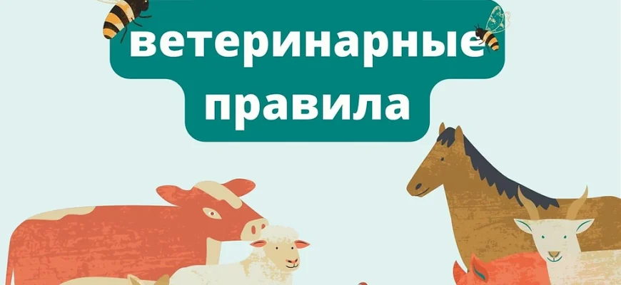 правила