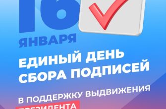 выборы