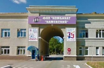 каменский химзавод