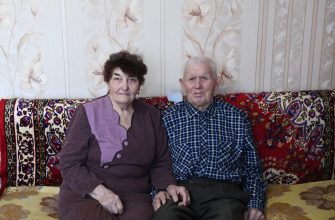 семья