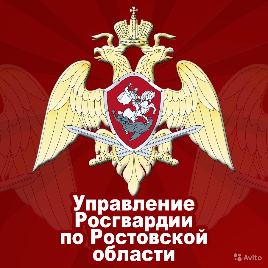 В Ростовской области инспекторы Росгвардии изъяли из незаконного оборота 289 единиц оружия