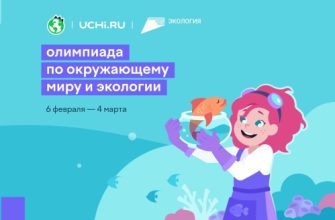 онлайн-олимпиада