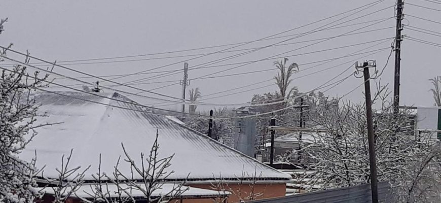 россети