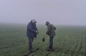 мониторинг полей