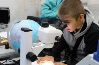 образование