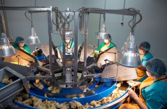 предприятие