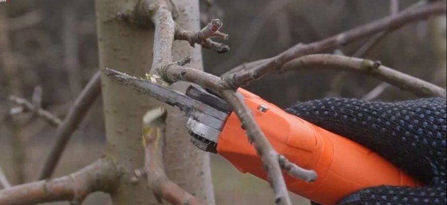 обрезка