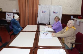 выборы