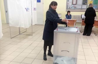 выборы