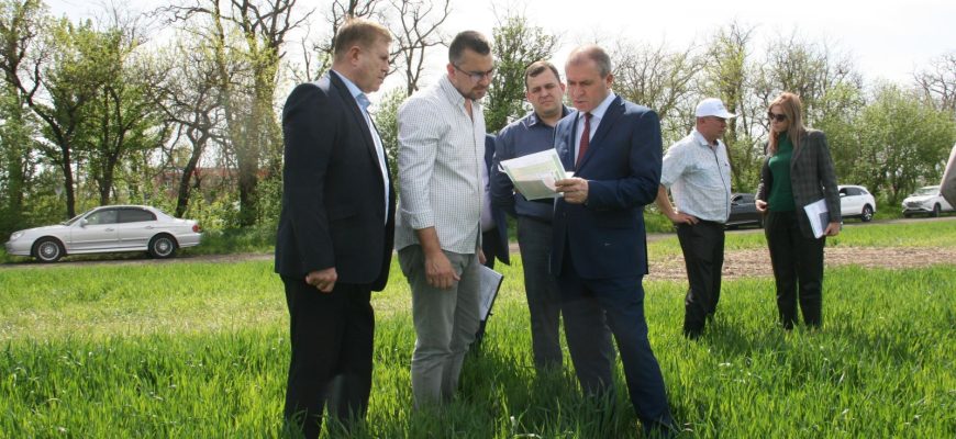голубев