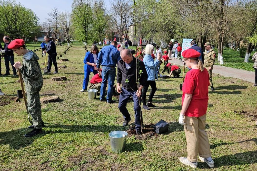 В рамках весеннего Дня древонасаждений и акции «Сад памяти» на Дону высажено более 380 тысяч деревьев и кустарников