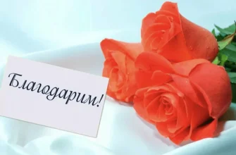 благодарим