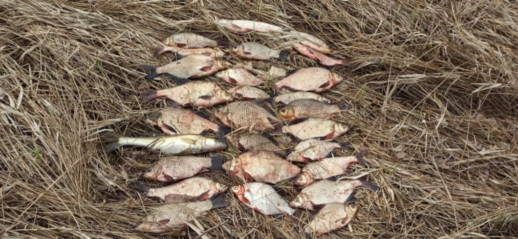 Полицейские Волгодонска задержали браконьера с запрещенным орудием лова и добытой рыбой