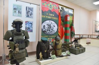 пограничники