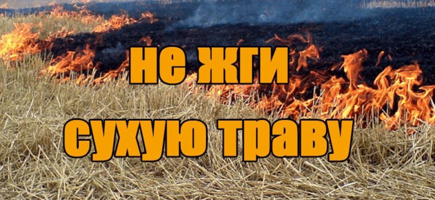 не жгите траву