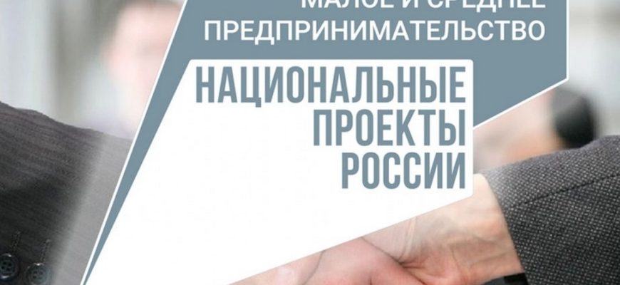 господдержка
