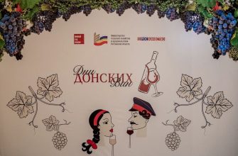 дни донских вин