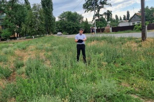 Сотрудниками административной инспекции Ростовской области возбуждено  более 400 административных дел за непокос сорной растительности