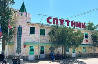 спуитник