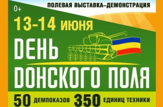 день донского поля