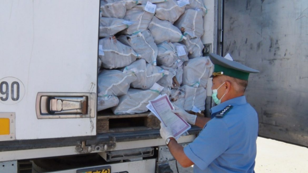 Более 48 тонн репчатого лука из Узбекистана завезли в Ростовскую область