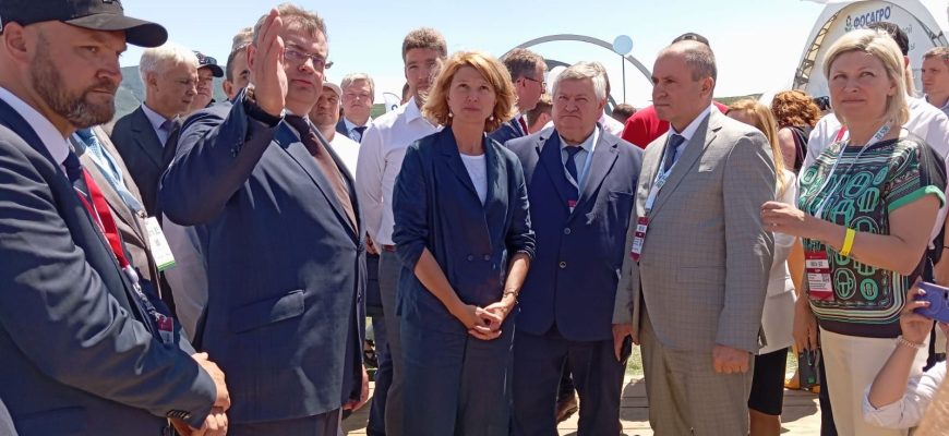 делегация