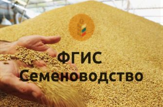 фгис