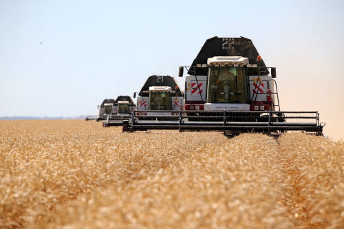 Урожай-2024: донские земледельцы собрали почти 2 млн 580 тысяч тонн зерновых и зернобобовых культур