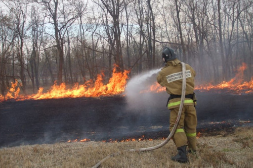 На Дону пожарную безопасность обеспечивают около 20 тысяч огнеборцев и почти три тысячи единиц техники