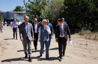 рабочий визит