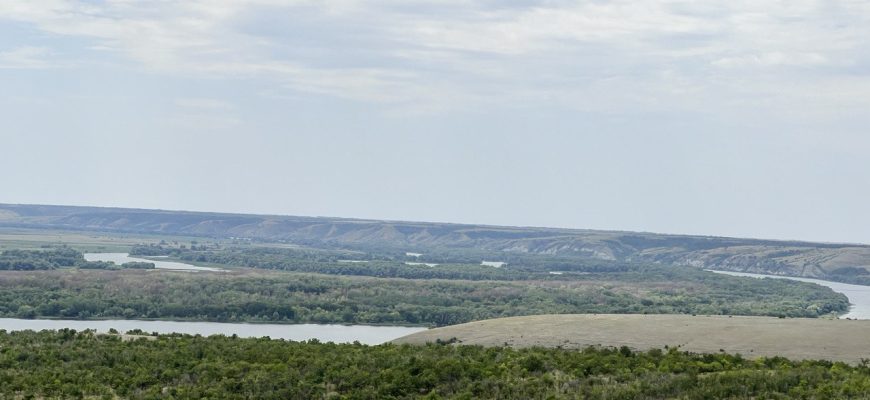 лес