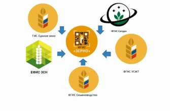 семеноводства