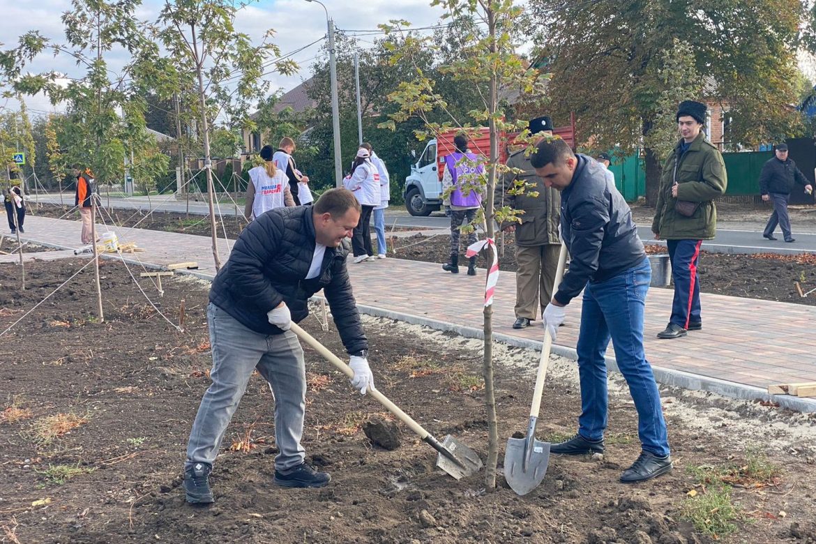 На Дону в рамках осеннего Дня древонасаждений высажено почти 50 тысяч деревьев и кустарников