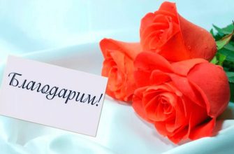 благодарность