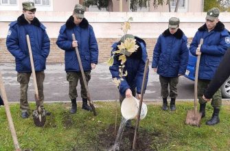 древонасаждения