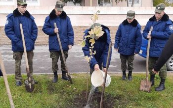 древонасаждения