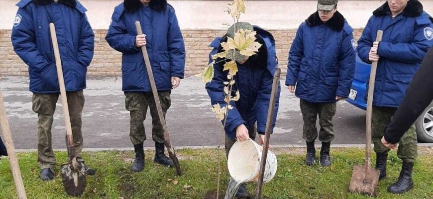 древонасаждения