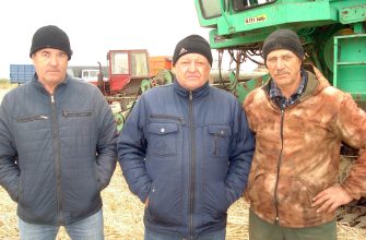 мелиоратор