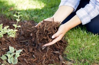мульчирование