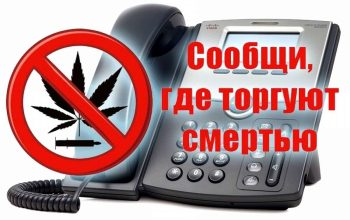 сообщи где торгуют смертью