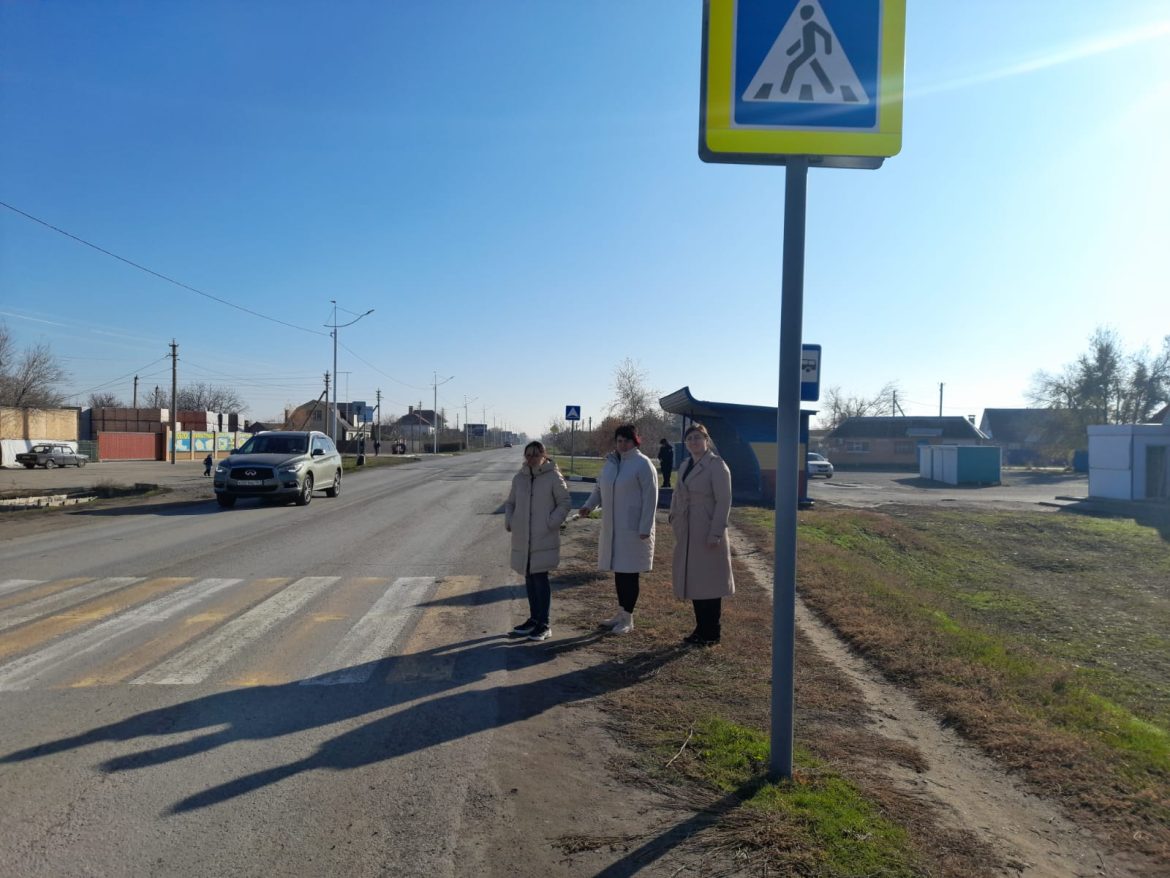 В Волгодонском районе провели мониторинг безопасности пешеходных переходов возле  образовательных учреждений